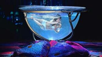 Amaluna By Cirque Du Soleil The Bespoke Black Book