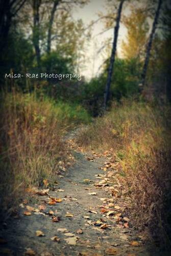 Beautiful Fall Day Editing Tutorials Photo Background Image