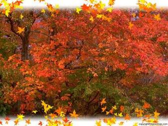 Wallpaper Season Desktop