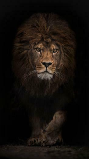 Day This Wallpaper Is In Top Best For iPhone 5s And