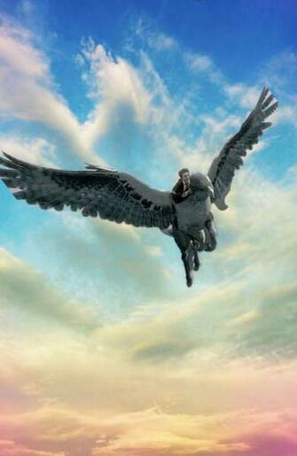 Harry And Buckbeak Flying Into The Sunset Potter In