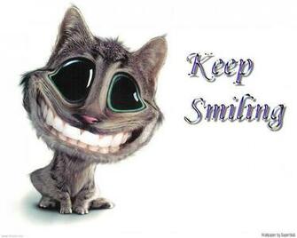 Funny Wallpaper Beautiful Cool
