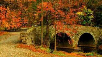 Forest Park Wallpaper