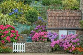 French Cottage Garden Pixdaus