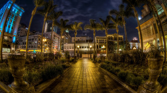 Wallpaper 4k Usa San Diego California Trees Palms Night
