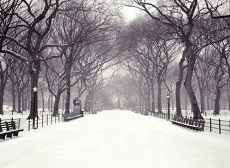 Central Park Memorial New York Christmas Winter Wallpaper