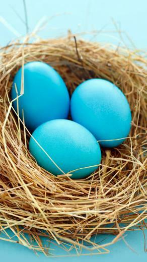 Easter Blue Eggs iPhone 5s Wallpaper