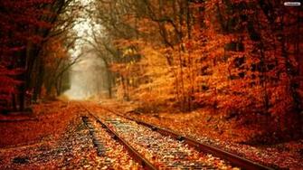 Scenic Railroad Track Wallpaper