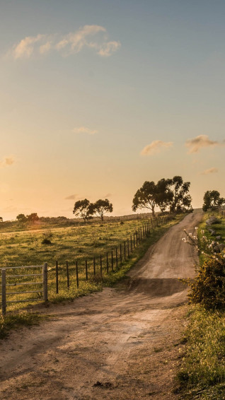 Country Western Wallpaper