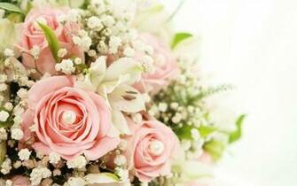 Roses Wallpaper