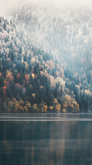 Vibe Wallpaper For iPhone