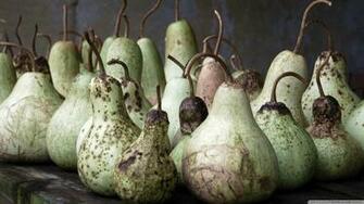 Gourds 4k HD Desktop Wallpaper For Ultra Tv Tablet
