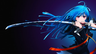 Black Bullet Wallpaper