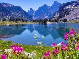 Nature Wallpaper Daydreaming