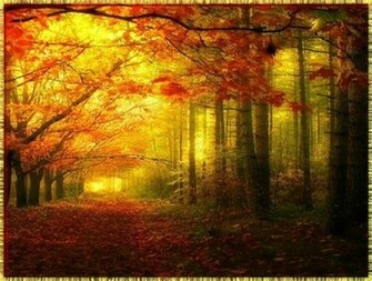 Fall Leaves Wallpaper Gobble Till Ya Wobble