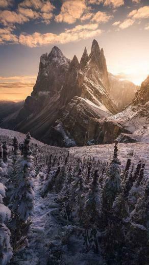 Soja E On Nature In Pictures
