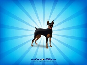 Wallpaper Miniature Pinscher
