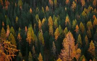 Sorapiss Auronzo Di Cado Mac Wallpaper Allmacwallpaper