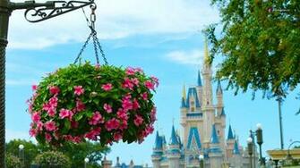 Walt Disney World Resort Wallpaper For Desktop Laptop And Smartphones