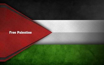Iron Stomachs The Beautiful Defiance Of Palestine S Hunger Strikers