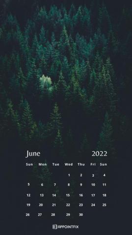 June Calendar Wallpaper Desktop Mobile
