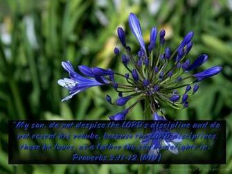 The Lord S Discipline Wallpaper Christian