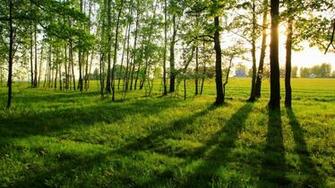 Widescreen Wallpaper Desktop
