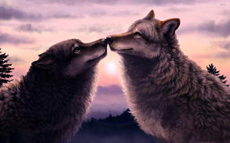 Wolf Aesthetic Wallpaper