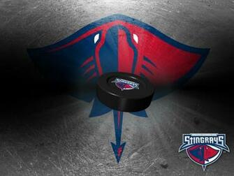 To The Official Website Of South Carolina Stingrays Wallpaper