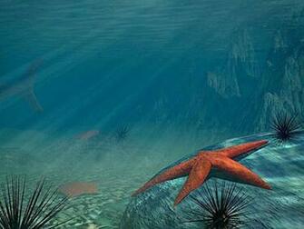 3d Ocean Wallpaper