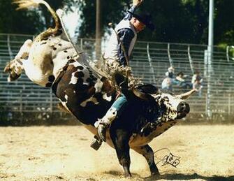 Brazylijska Przygoda Yiiihaaa Weekend Z Rodeo