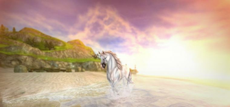 Star Stable Online By Akrapa