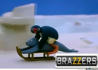 Pingu By Jelleh Meme Center