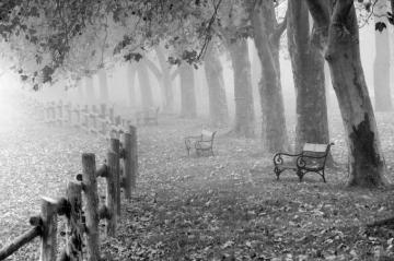 Wallpaper Autumn Nebel Landscape Tau HD