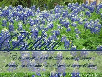 Your Lake Travis Real Estate Update