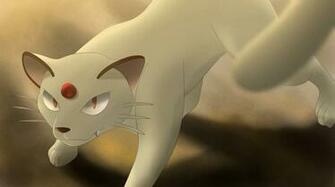 Pokemon Theme Team Cats Pok Mon Amino