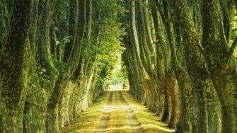 France Ponteves