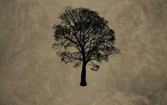 Tree Root Wallpaper X Net