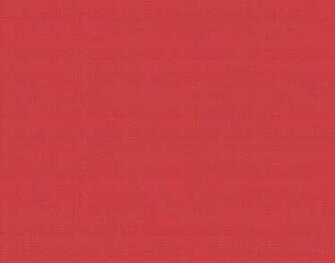 Solid Color Background Pink