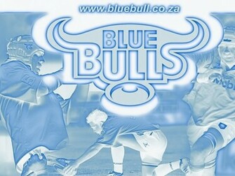 Blue Bulls Wallpaper Image Pictures Becuo