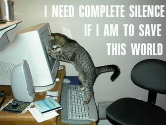 Cool Funny Lol Cats Wallpaper Lolcats N Pictures Of I Can