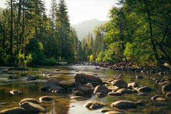 Sequoia National Park Image HD Wallpaper