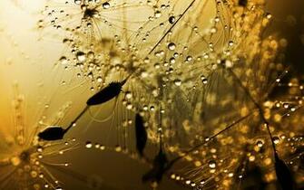Rainy Weather Wallpaper HD