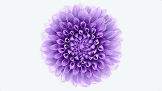 iPhone 6s Krijgt Natuurlijk Geanimeerde Wallpaper One More Thing