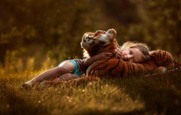 Wallpaper Forest Children Tiger Mood Glade Toy Child