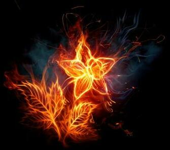 Fire Star Windows Phone Wallpaper