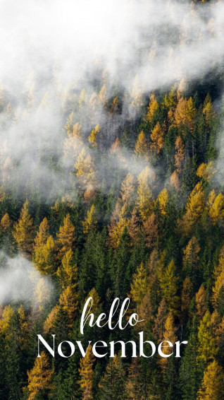 And Customizable Forest Templates