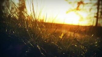 New Day Is Coming It A Bright And Wonderful Scene HD Natural