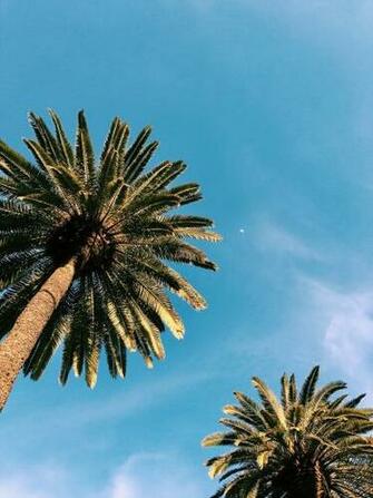 Summer Wallpaper Pictures Image