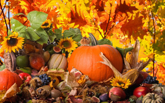 Thanksgiving Wallpaper And To Try In